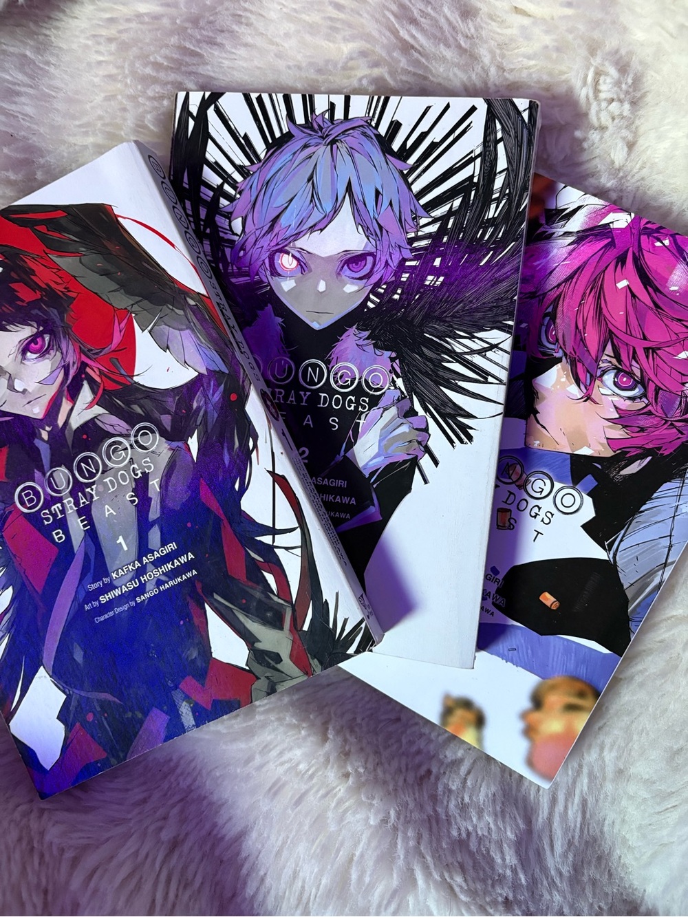 Bungo Stray Dogs Beast - Volumes 1-3